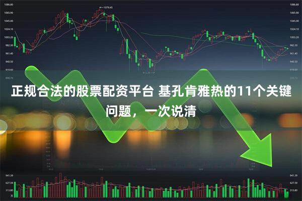 正规合法的股票配资平台 基孔肯雅热的11个关键问题，一次说清