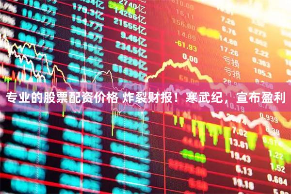 专业的股票配资价格 炸裂财报！寒武纪，宣布盈利