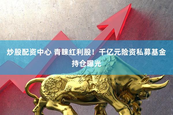 炒股配资中心 青睐红利股！千亿元险资私募基金持仓曝光