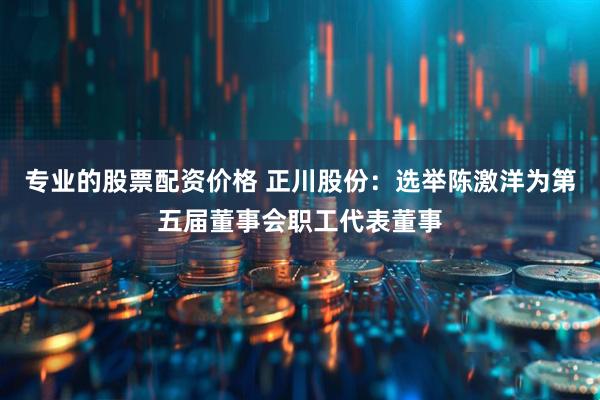 专业的股票配资价格 正川股份：选举陈激洋为第五届董事会职工代表董事